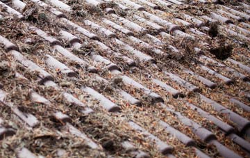 Landywood roof cleaning companies