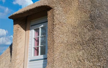 Landywood thatch roof disadvantages